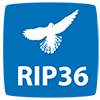 rip36
